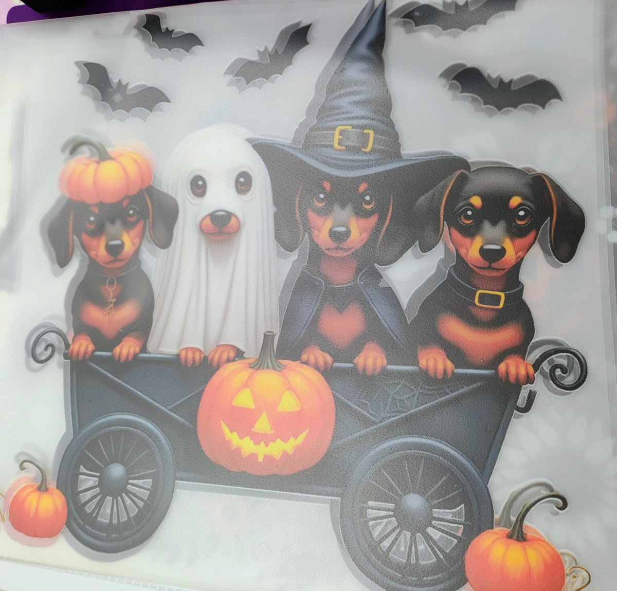Four Dashaunds in Costume Transfer