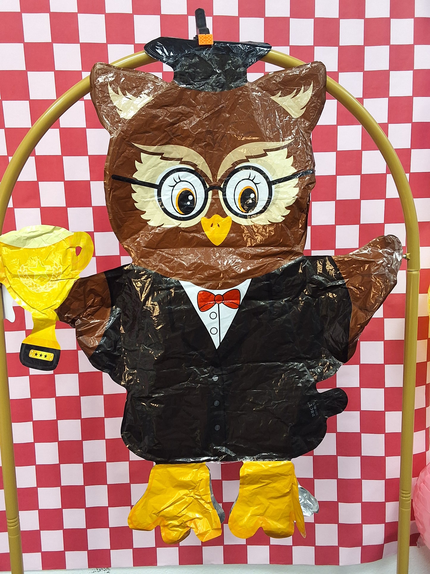 Graduation Air Filled Owl