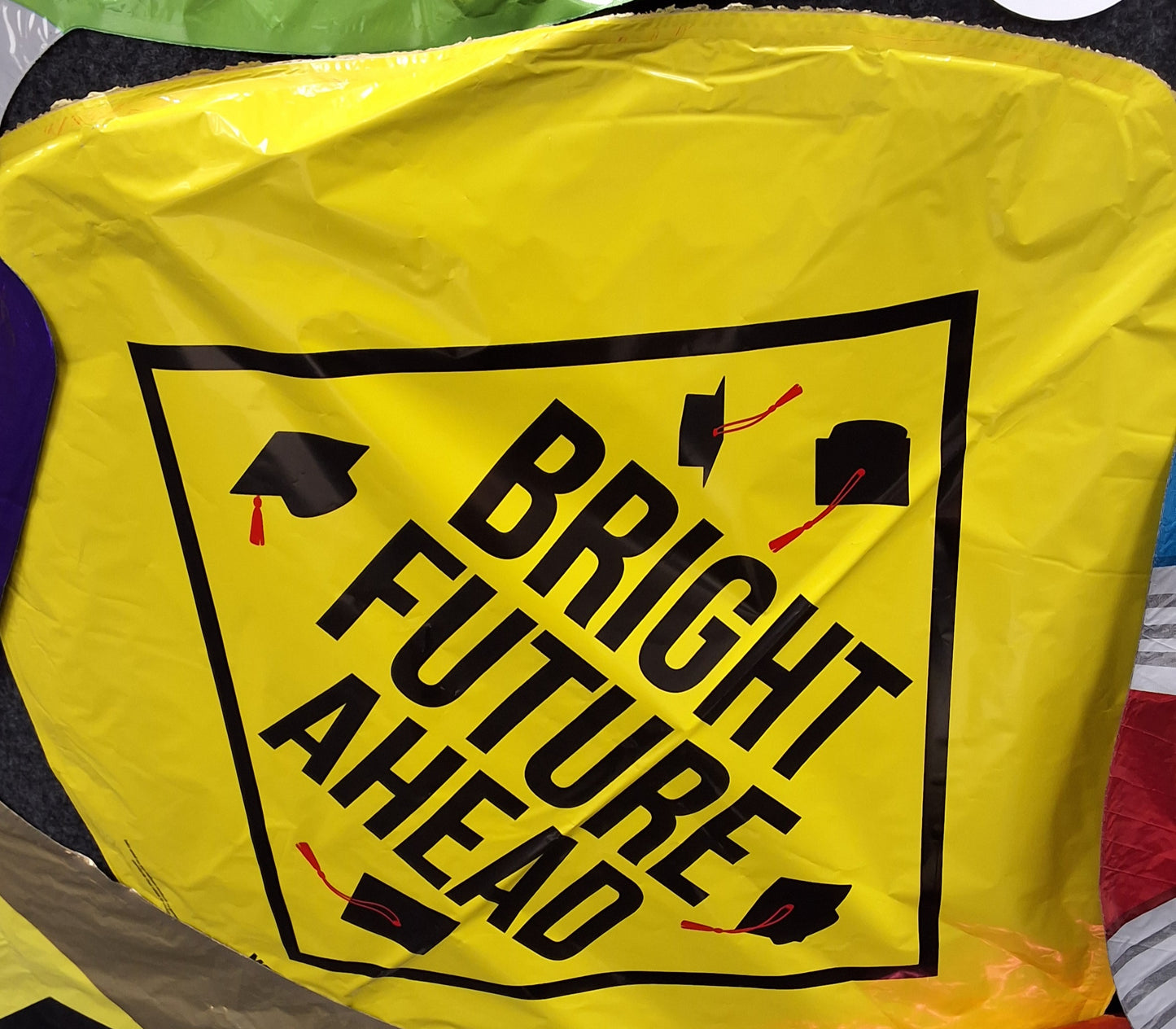 Bright Future Ahead 18"